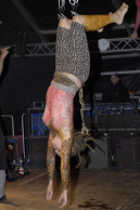 HELL SHOW